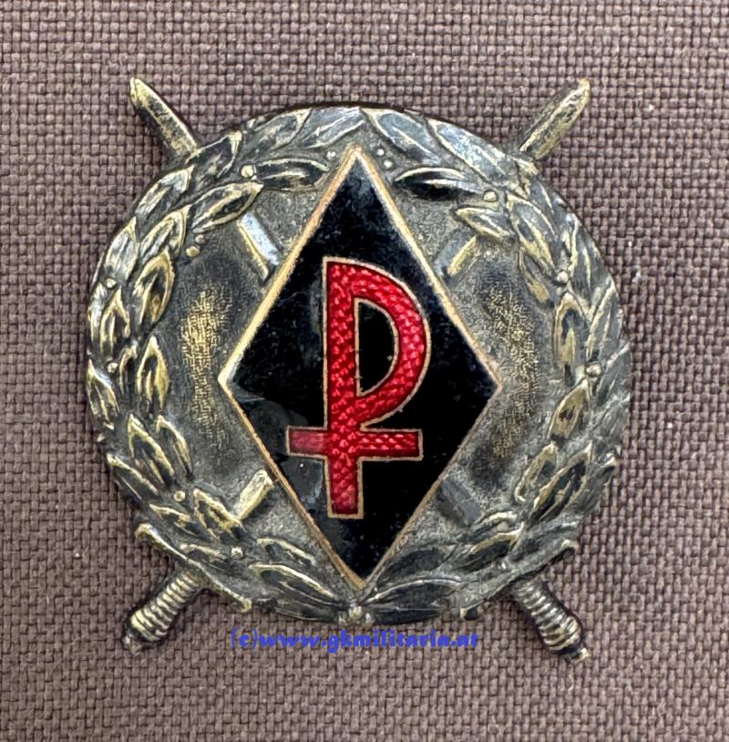 Bronzenes Ehrenzeichen der Ostmärkischen Sturmscharen! - 1. Republik!