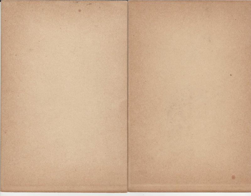 k.u.k. Portrait Offizier ungarische Infanterie - Dänemarkmedaille 1864!